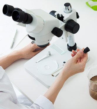 Untersuchung unter einem Mikroskop